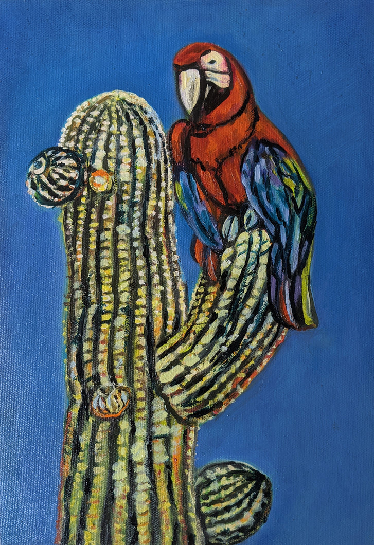 Saguaro Cactus Parrot